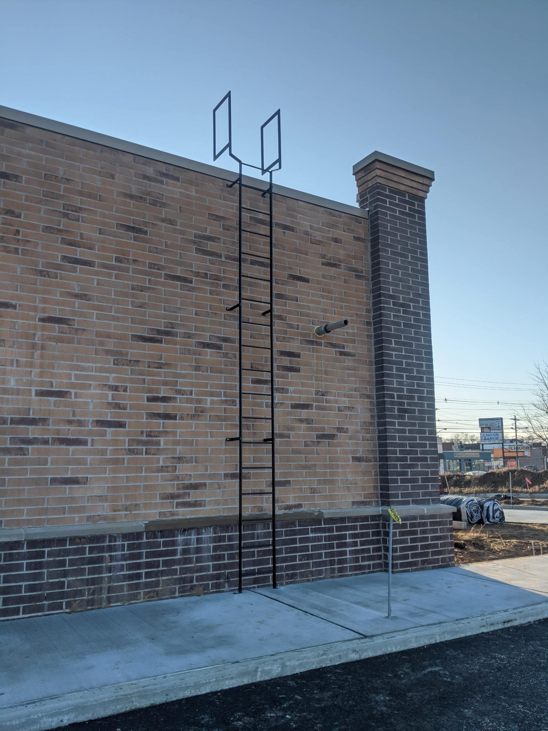 Roof Access Ladder on One Story Commercial Property